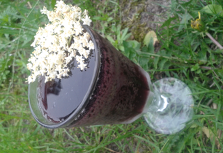 sok z czarnego bzu rozcieńczony z wodą