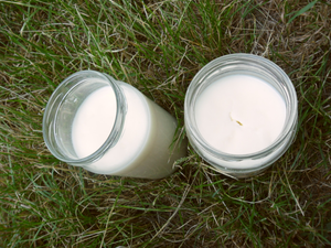 łój wołowy wytopiony w słoikach